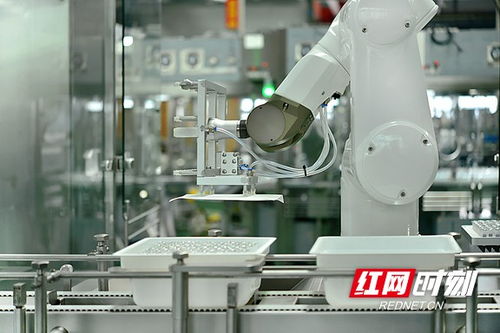 搶占智高點 智能制造驅動寧鄉經開區高質量發展，智能機器人研發成引擎