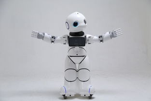 搶錢時機 國家重拳出擊，撥6億推動智能機器人市場研發(fā)騰飛